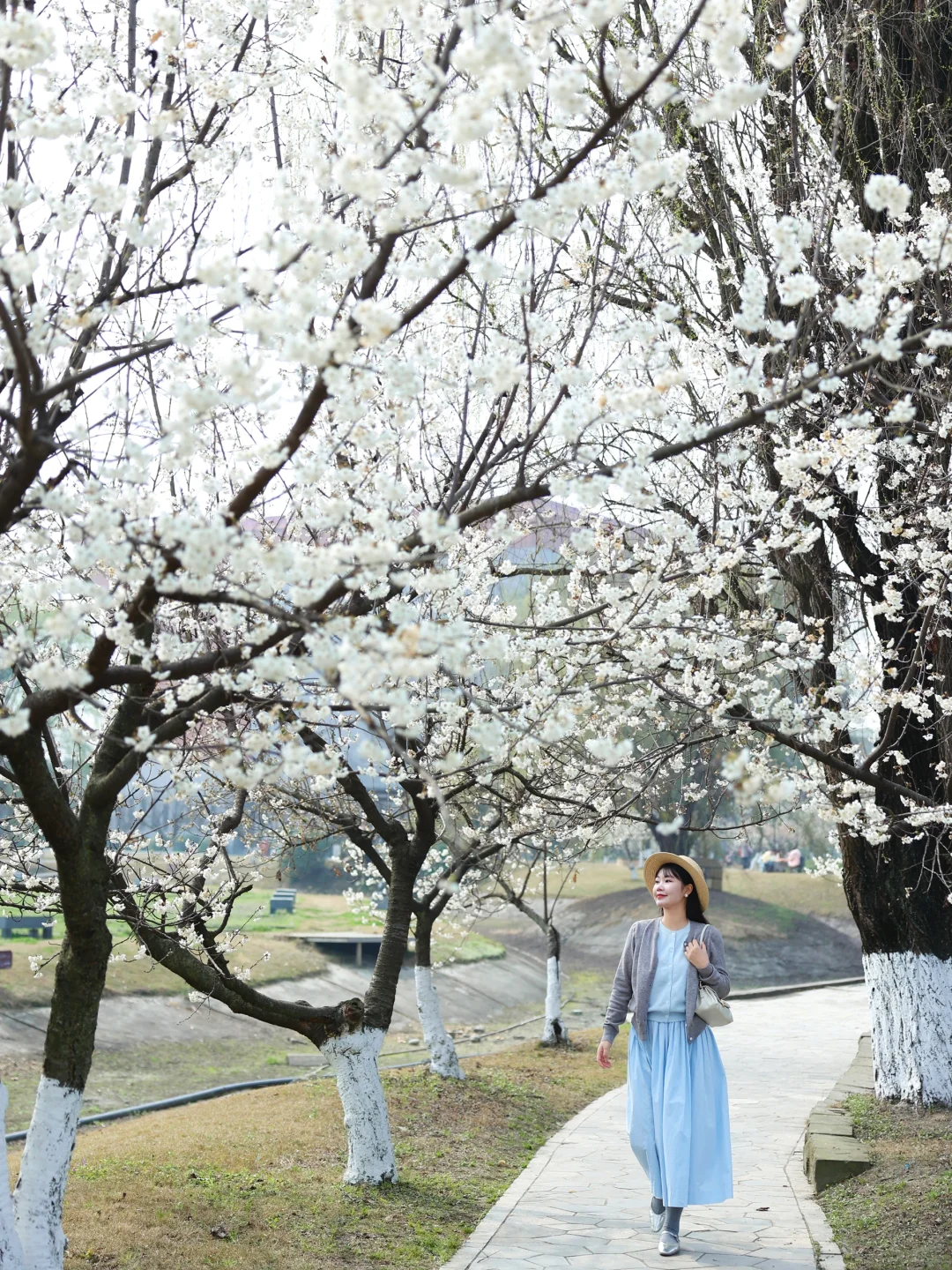 春日樱花季必学！女神级拍照姿势大公开，轻松拍出氛围感大片，美翻朋友圈