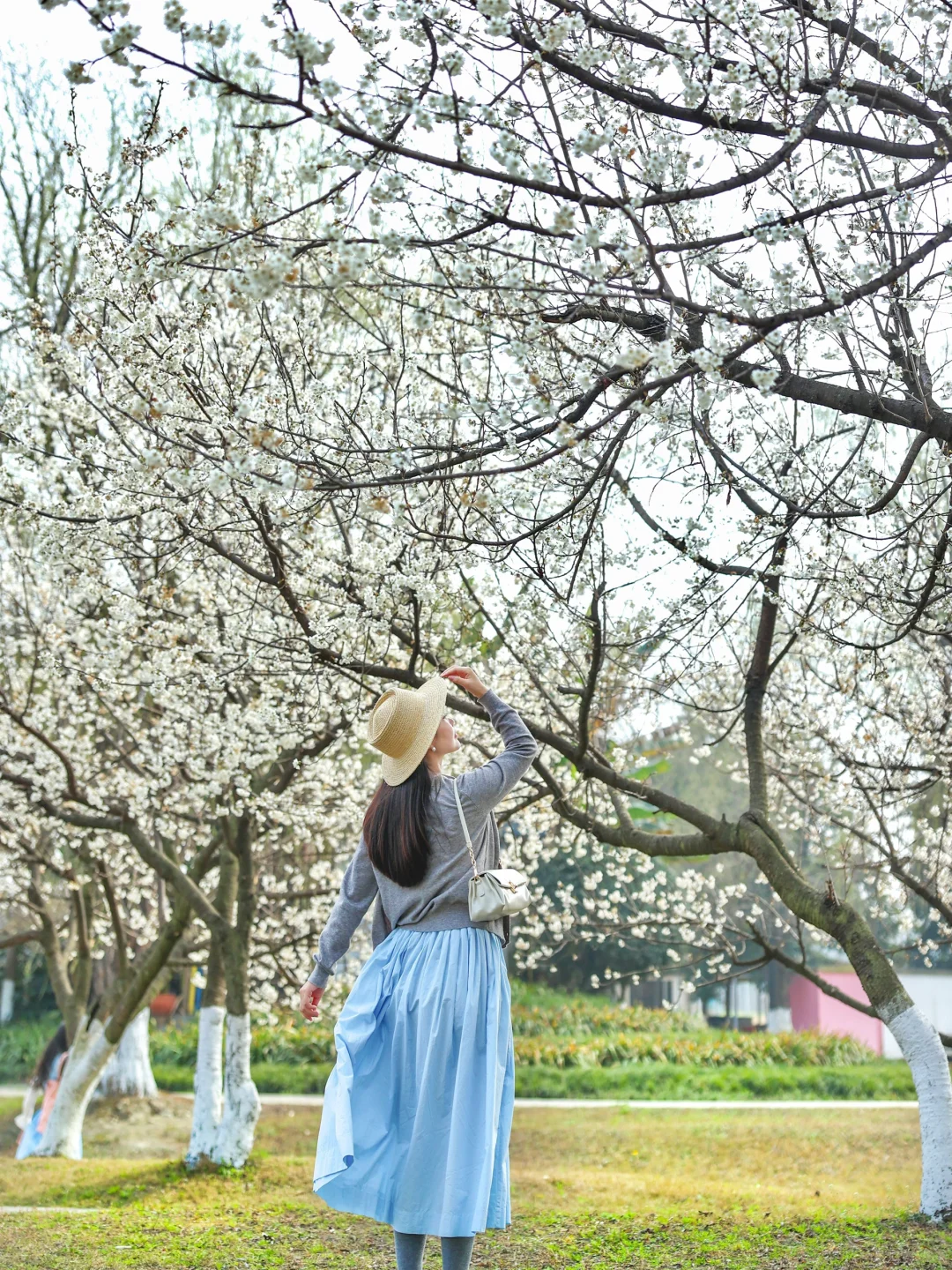 春日樱花季必学！女神级拍照姿势大公开，轻松拍出氛围感大片，美翻朋友圈
