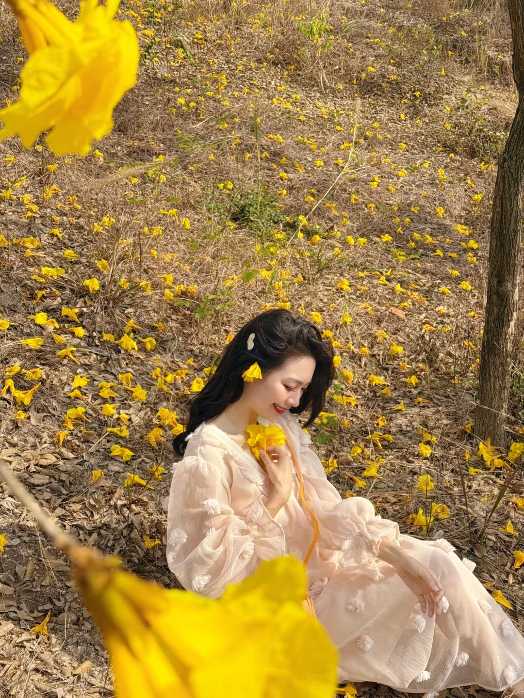 6个赏花拍照构图小技巧，轻松get春日氛围感美照，拍花必看