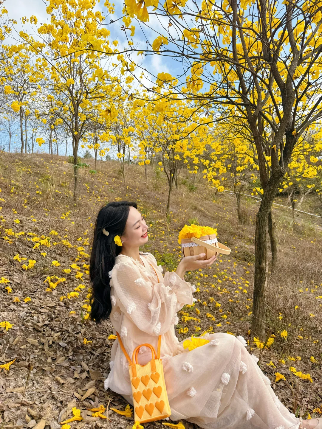 6个赏花拍照构图小技巧，轻松get春日氛围感美照，拍花必看