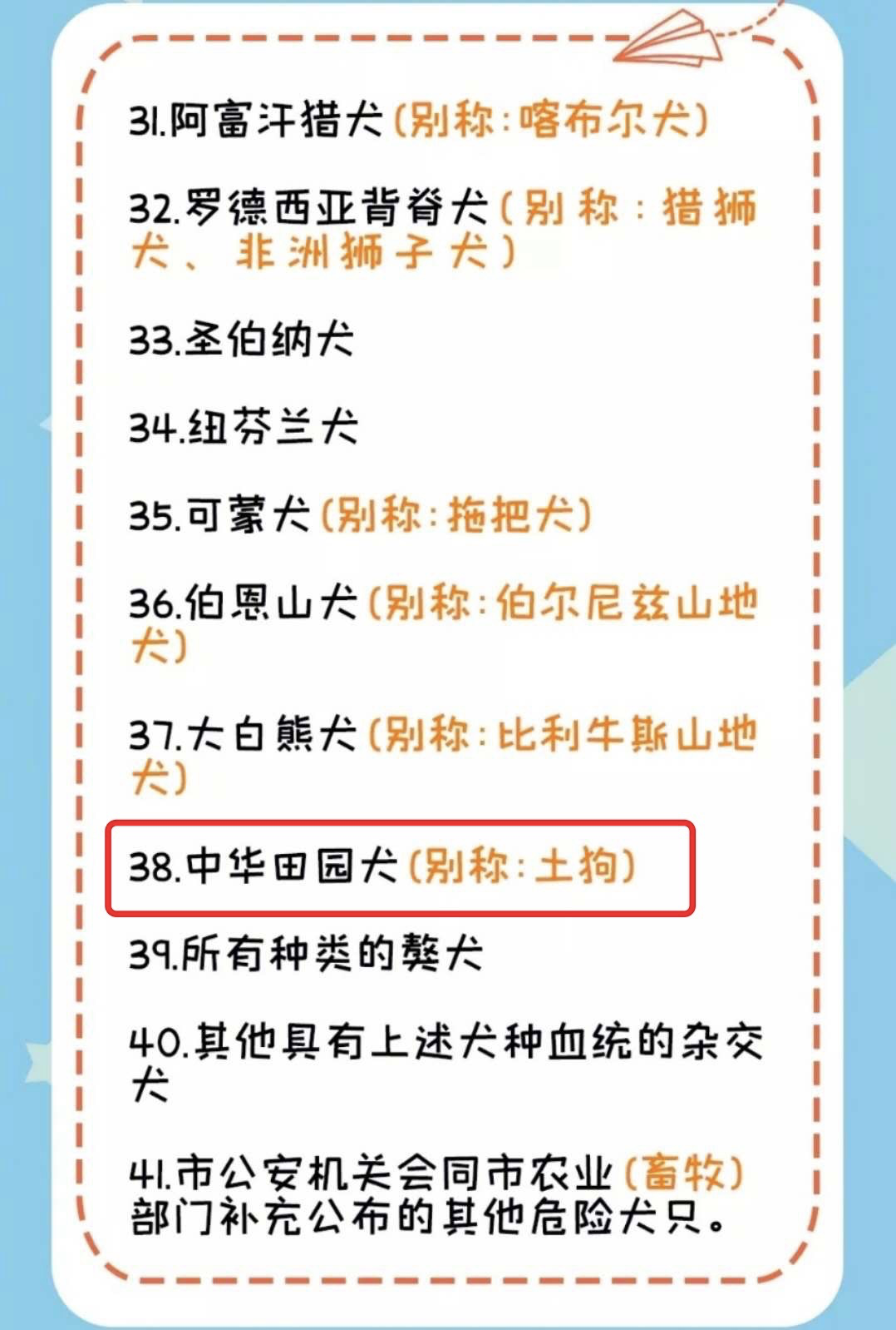 又一地公布「禁養犬名錄」，小土狗：「人類為什麼要一直嫌棄我們？」 寵物 第1張