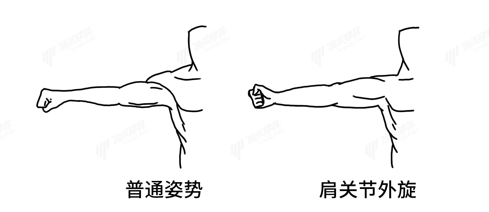 面拉：一个对肩关节形态、健康和改善圆肩等体型有效的动作-第8张图片-体能网