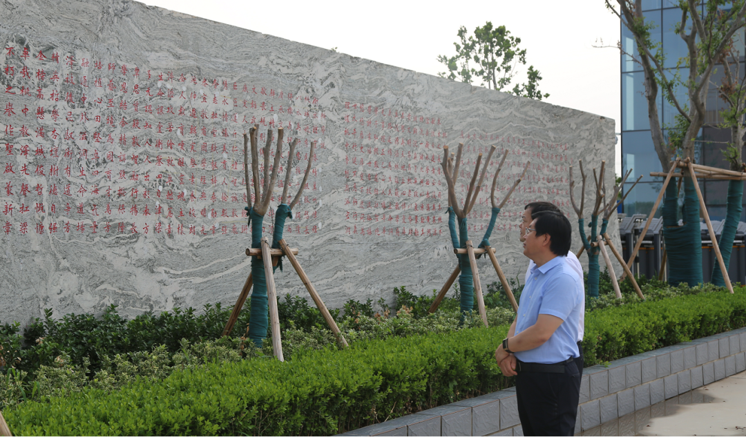 衡水桃城中学航拍_桃城衡水中学_衡水桃城中学校