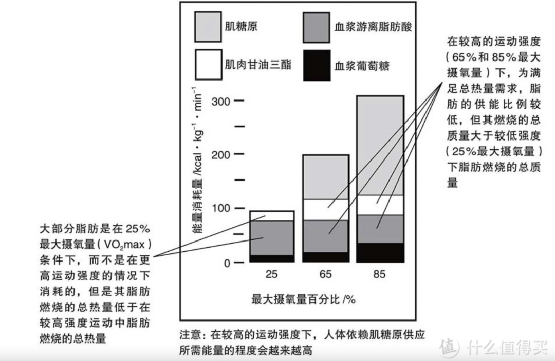 运动减肥_减肥运动计划_减肥运动最快效果最好方法