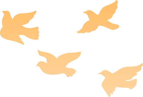 他们，“蓉光”焕发！插图16