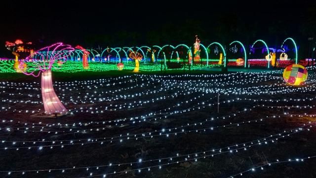 灯会地址:曹县八里湾生态花海公园(导航搜索