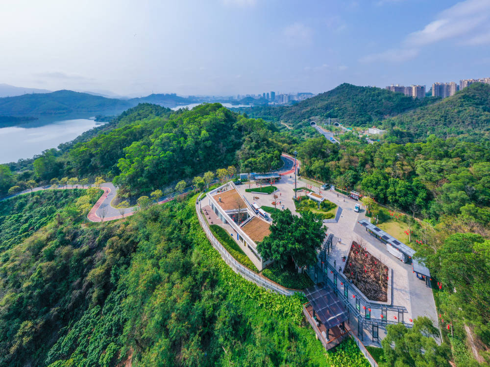 五一不必远游罗湖这些地方景美又免费攻略已备好