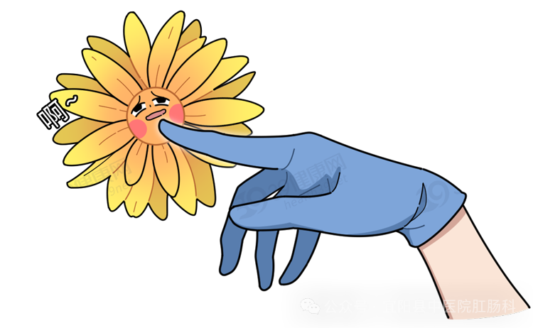 洗肛门怎么洗【宜中医】如何正确清洗肛门？别害羞，这里教会你。_https://www.jmylbn.com_新闻资讯_第4张