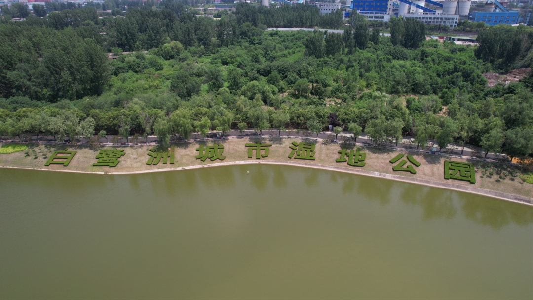不出市区,可享露营生活!实拍白鹭洲湿地公园生态帐篷营地
