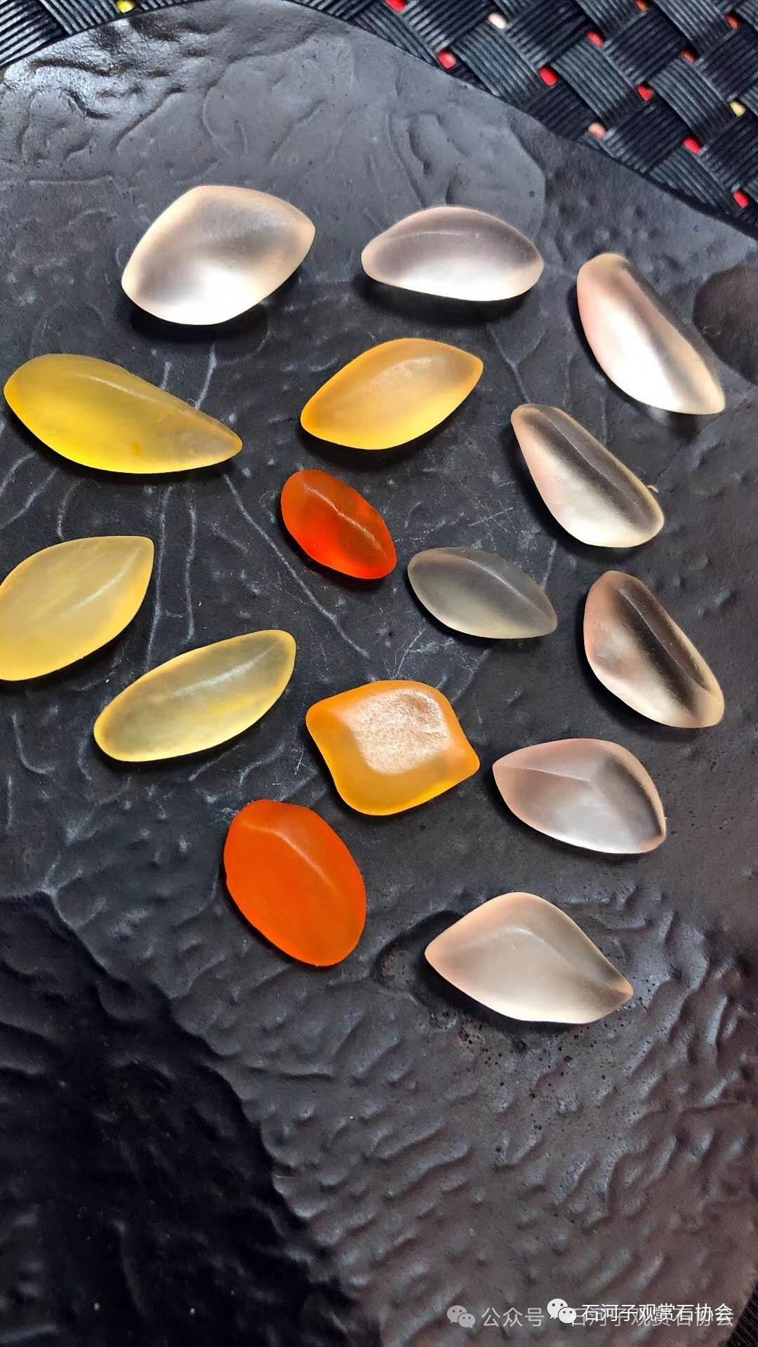 自从玩了金丝玉 视金丝玉为最爱了 