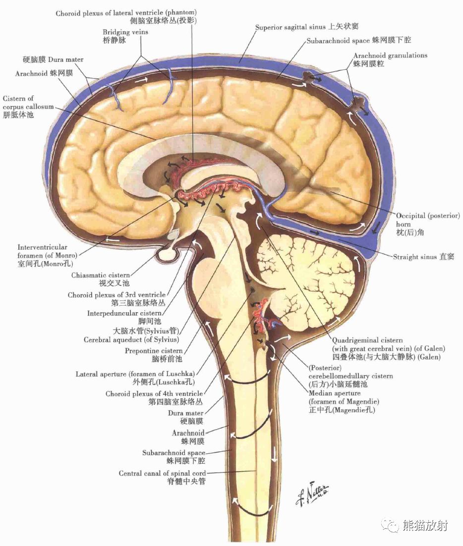 影像解剖丨腦膜及其血供,硬腦膜靜脈竇,mrv_醫學界-助力醫生臨床決策