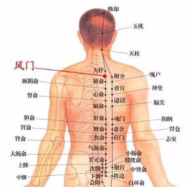 三伏不養背，冬天要遭罪！ 汽車 第6張