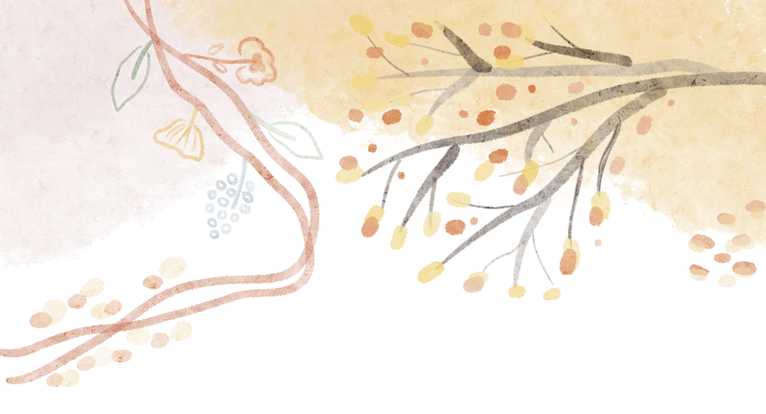 国内电商平台—淘宝