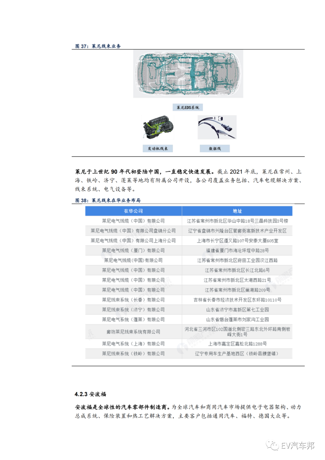 汽车的血管与神经-线束，未来可期！的图10