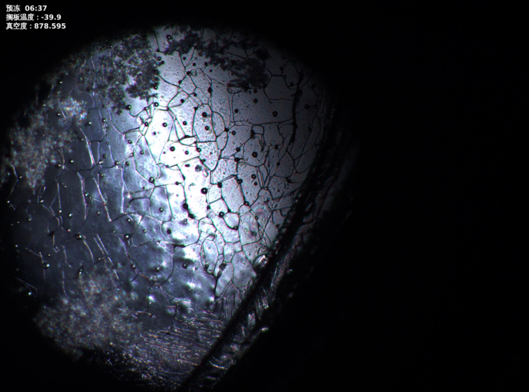 開譜凍干顯微鏡LyoVision A1新品發(fā)布，讓凍干工藝開發(fā)更簡單高效