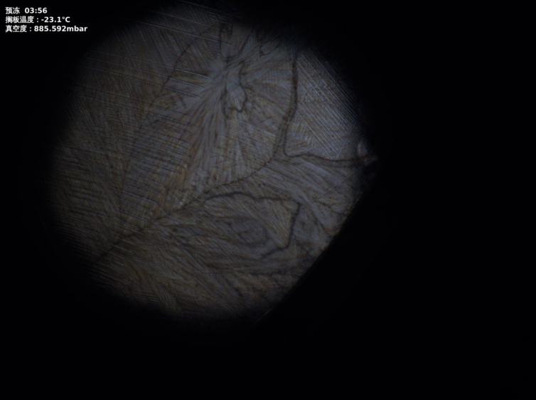 開譜凍干顯微鏡LyoVision A1新品發(fā)布，讓凍干工藝開發(fā)更簡單高效