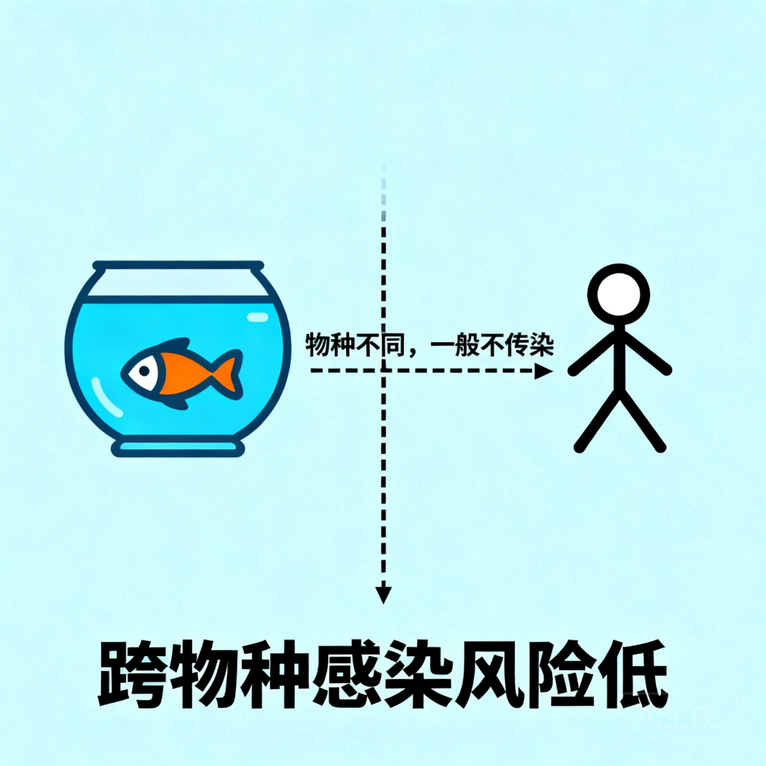疾病风险分析