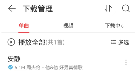 Easy163，音乐解析工具，内含 “特殊” 开关，真猛！