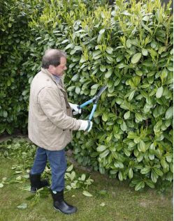 不了解要被罚 德国私人花园规矩多 不能自作主张 德欧华商 微信公众号文章阅读 Wemp