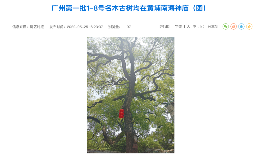 花3年搞评估审查，南沙旧村改造也要驶入快车道？