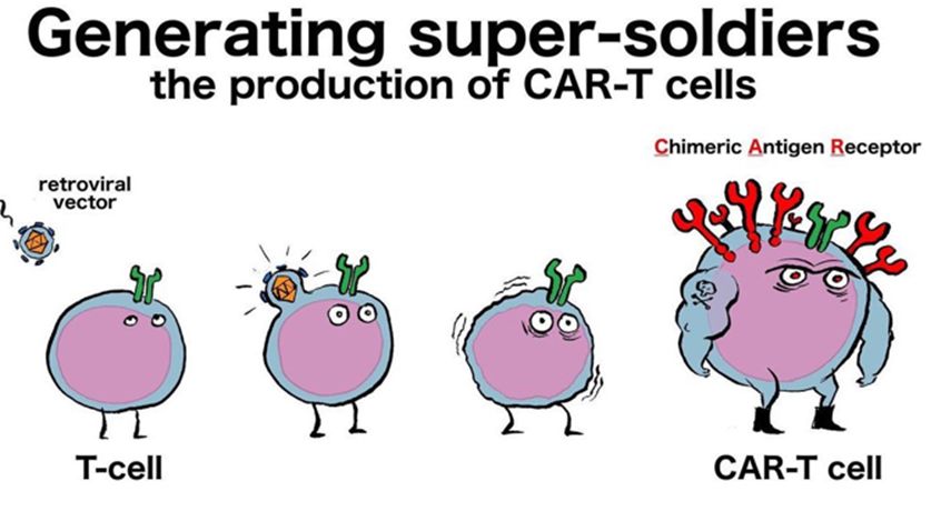 你所不知道的car-t细胞治疗"套"路(上)
