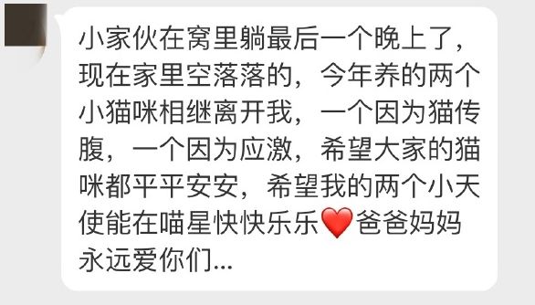 原本只想抱貓出去散散心，沒想到貓直接被嚇死在她懷裡... 寵物 第4張