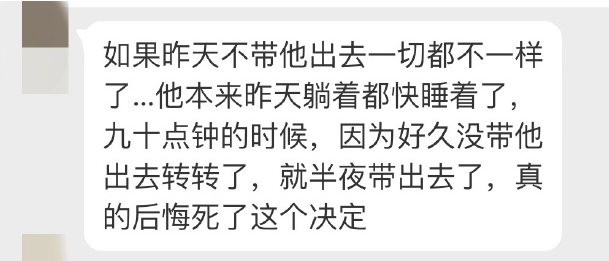 原本只想抱貓出去散散心，沒想到貓直接被嚇死在她懷裡... 寵物 第6張