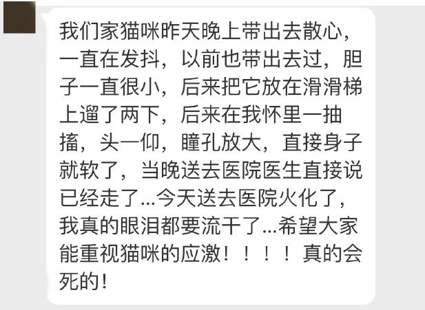 原本只想抱貓出去散散心，沒想到貓直接被嚇死在她懷裡... 寵物 第3張