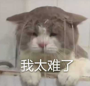 沙雕铲屎官的12个作屎行为,你做过几个?-微信头条网 沙雕铲屎官的12个作屎行为,你做过几个?
