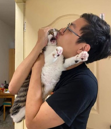沙雕铲屎官的12个作屎行为,你做过几个?-微信头条网 沙雕铲屎官的12个作屎行为,你做过几个?