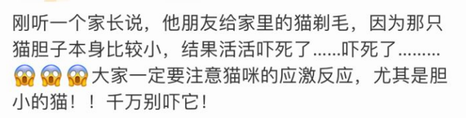 原以為橘貓是虛胖，直到它被剃了毛…… 寵物 第14張