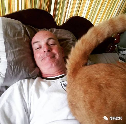 愛貓的人也這麼狡詐的嗎？ 寵物 第10張