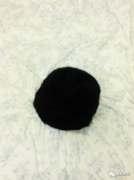 黑洞，其實是只貓！ 未分類 第21張