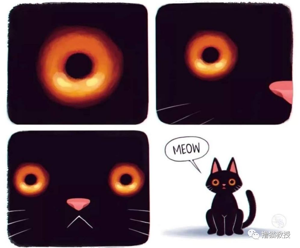 黑洞，其實是只貓！ 寵物 第7張