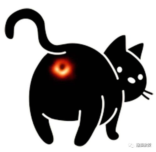 黑洞，其實是只貓！ 未分類 第23張