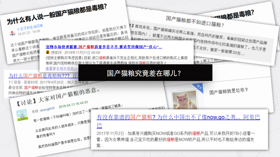 666份免費貓糧請你吃！加贈一年免費你來不來！ 寵物 第5張