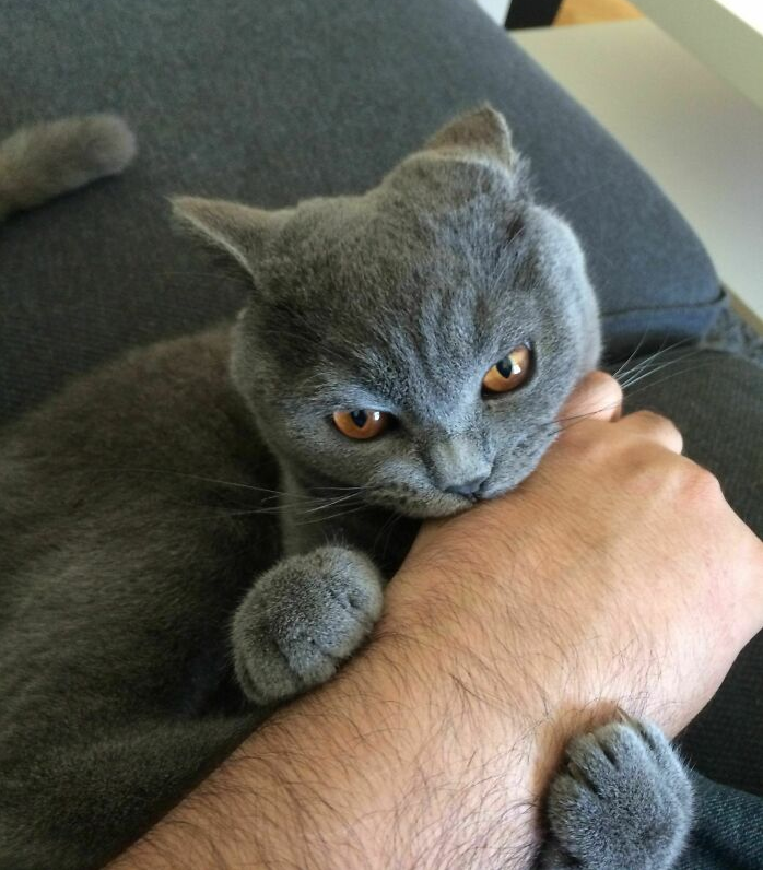 你那就是耍流氓!_友友