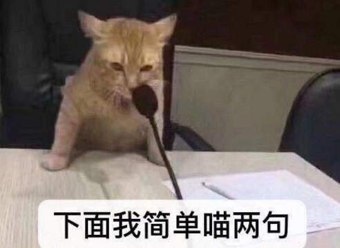 它们到底说了什么?下边咱们就听猫来简单地喵两句.