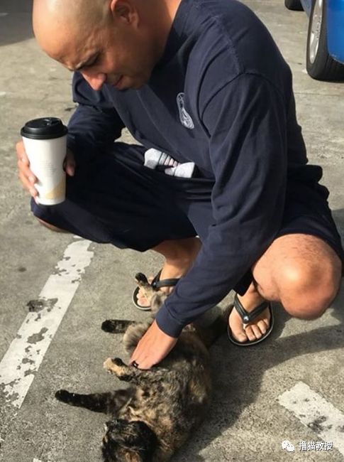 一只小貓流浪到消防局，和消防員相親相愛四年後，最近被一封匿名信打破了幸福... 寵物 第13張