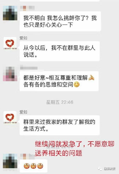 辛辛苦苦救助的貓，被領養人拿去喂蛇了？！ 寵物 第8張