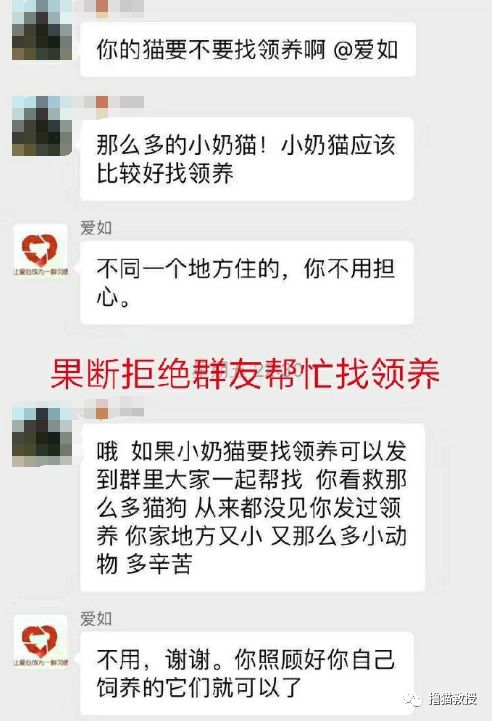 辛辛苦苦救助的貓，被領養人拿去喂蛇了？！ 寵物 第4張