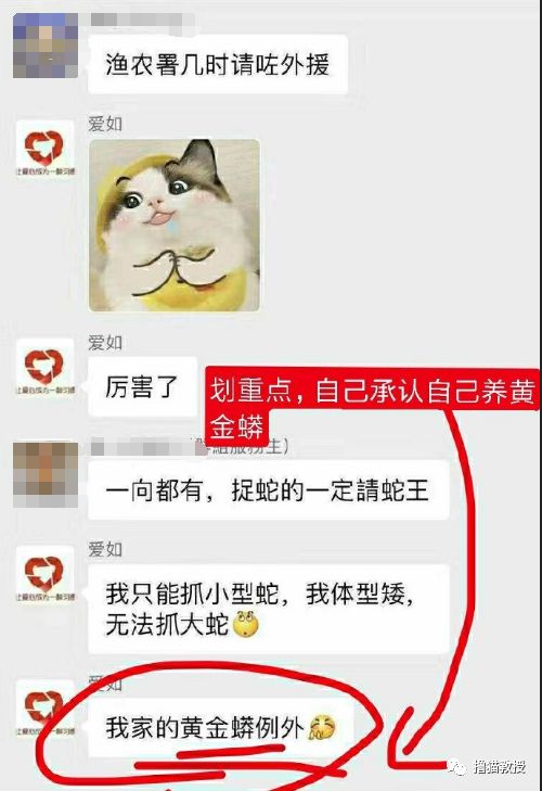 辛辛苦苦救助的貓，被領養人拿去喂蛇了？！ 寵物 第10張