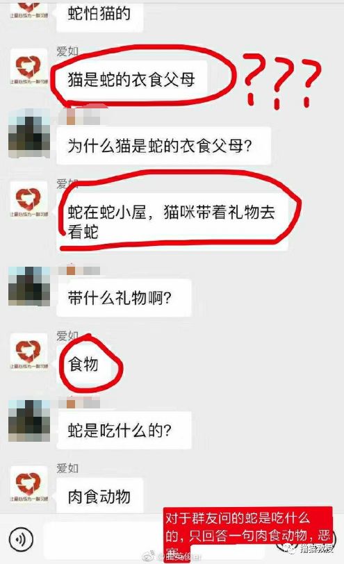 辛辛苦苦救助的貓，被領養人拿去喂蛇了？！ 寵物 第2張