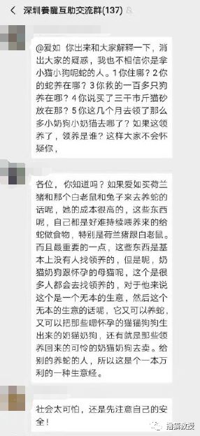 辛辛苦苦救助的貓，被領養人拿去喂蛇了？！ 寵物 第11張