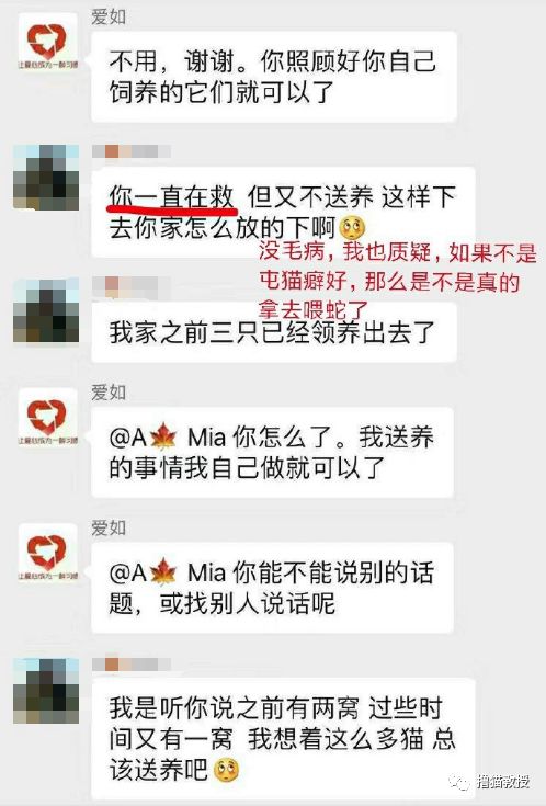 辛辛苦苦救助的貓，被領養人拿去喂蛇了？！ 寵物 第5張