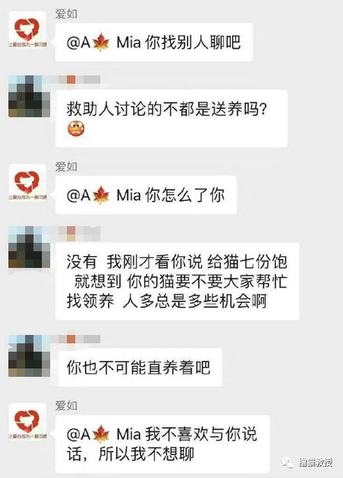 辛辛苦苦救助的貓，被領養人拿去喂蛇了？！ 寵物 第6張