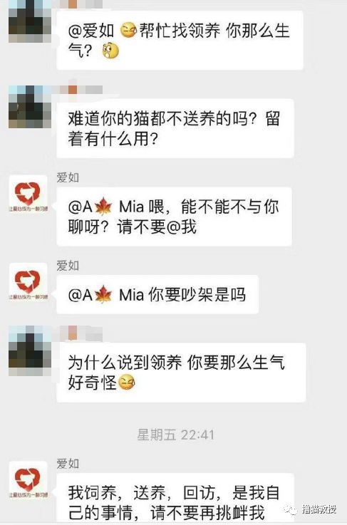 辛辛苦苦救助的貓，被領養人拿去喂蛇了？！ 寵物 第7張