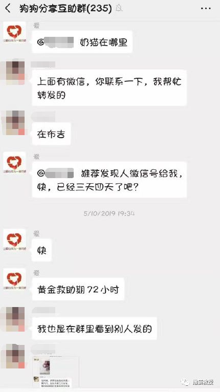 辛辛苦苦救助的貓，被領養人拿去喂蛇了？！ 寵物 第13張