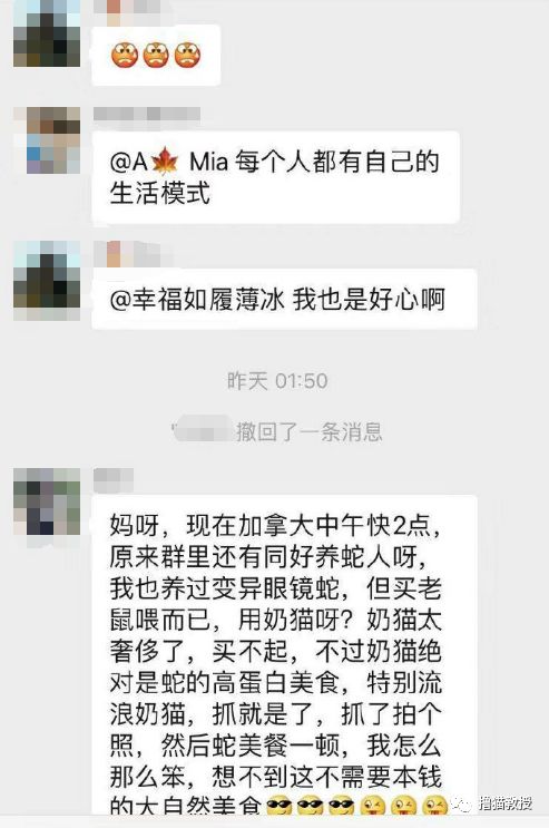 辛辛苦苦救助的貓，被領養人拿去喂蛇了？！ 寵物 第9張