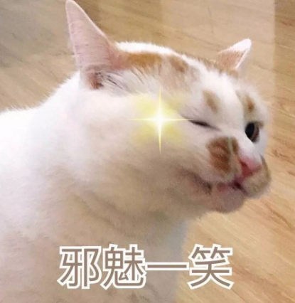 看完这些巧合,我再也无法直视喵星人了!-微信头条网 看完这些巧合,我再也无法直视喵星人了!